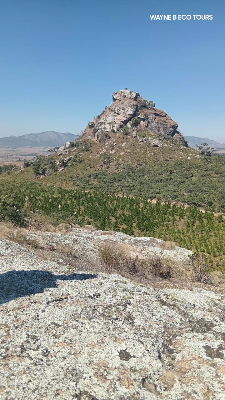 Granite peak rising above pine plantations under a clear blue sky