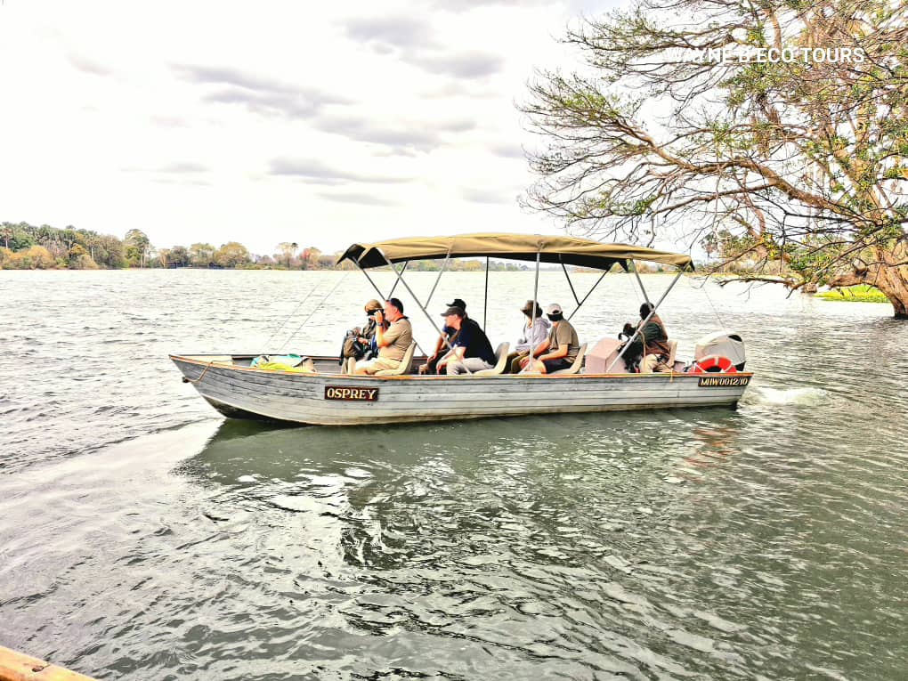 Shaded safari boat cruising past overhanging trees on a wide river