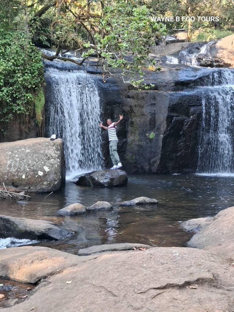 Guide standing on a rock in front of a wide forest waterfall